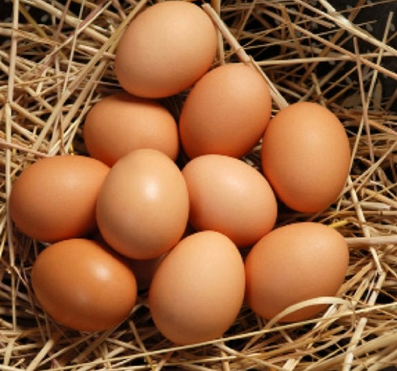 달걀.PNG
