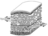 XpressEngine ver.2
