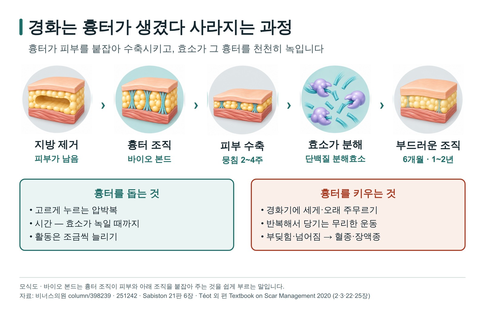 경화는 흉터가 생겼다 사라지는 과정 — 바이오 본드와 단백질 분해효소, 흉터를 키우는 물리적 자극