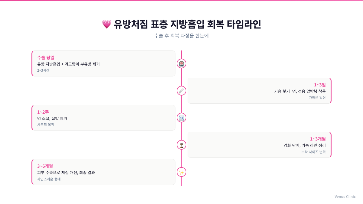 유방처짐 개선 후 회복 타임라인 인포그래픽 비너스의원