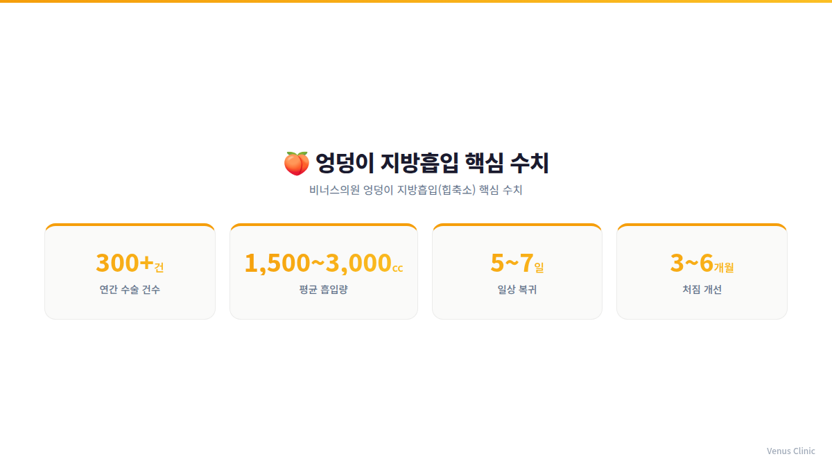 엉덩이 지방흡입 핵심 수치 인포그래픽 — 연간 수술건수, 흡입량, 회복기간