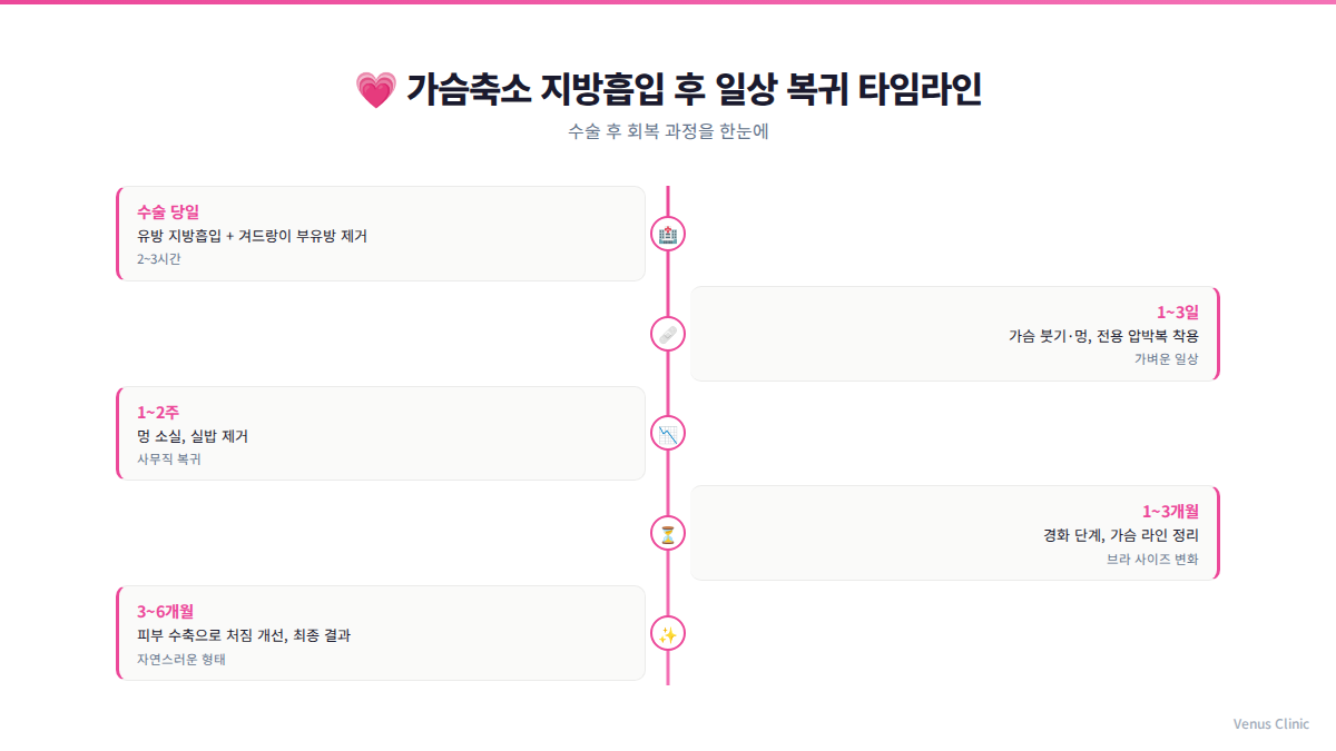 가슴축소 지방흡입 회복 타임라인 인포그래픽