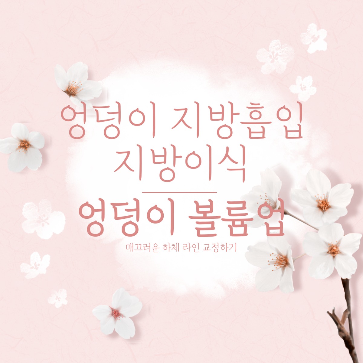 엉덩이 지방이식 수술 원리 이미지 — 비너스의원