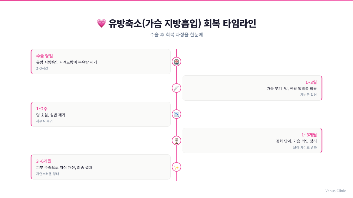 유방축소 가슴 지방흡입 회복 타임라인 비너스의원