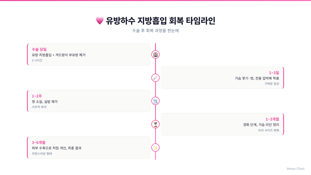 유방하수 지방흡입 회복 타임라인 인포그래픽 비너스의원