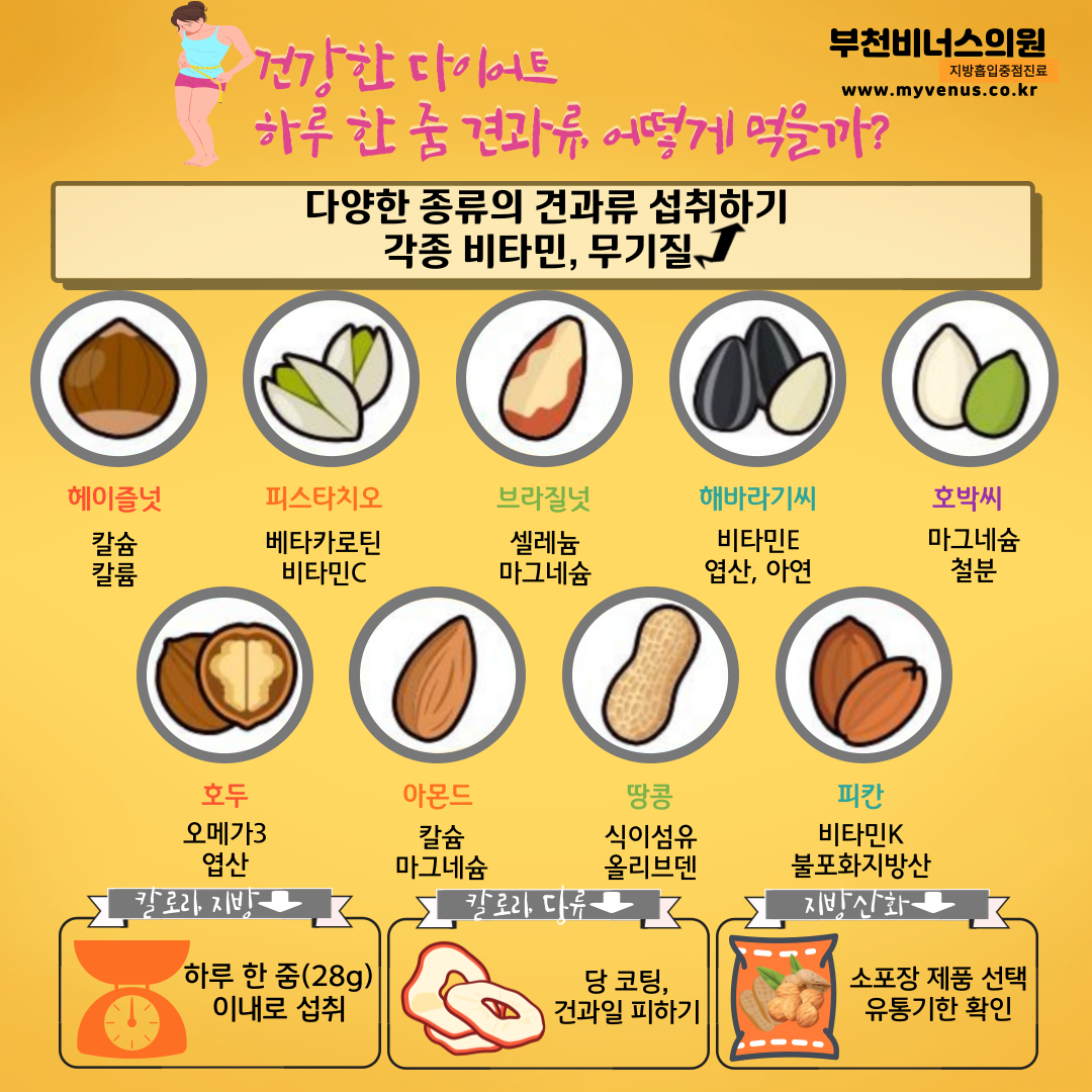 지방흡입전문 비너스의원 - [건강 한 다이어트] 하루 한 줌 견과류, 어떻게 먹을까?