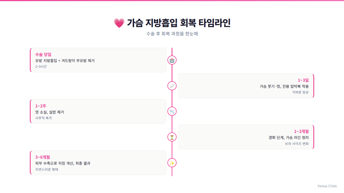 가슴 지방흡입 회복 타임라인 인포그래픽 비너스의원