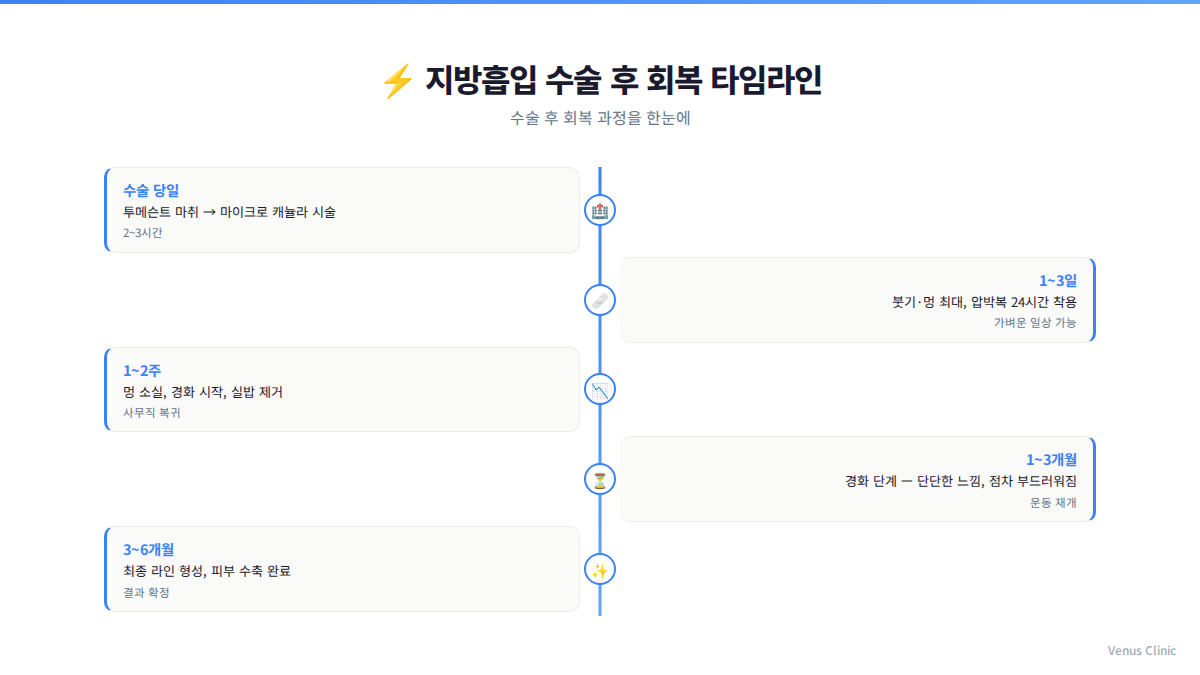 팔뚝 지방흡입 회복 타임라인 경화과정 비너스의원
