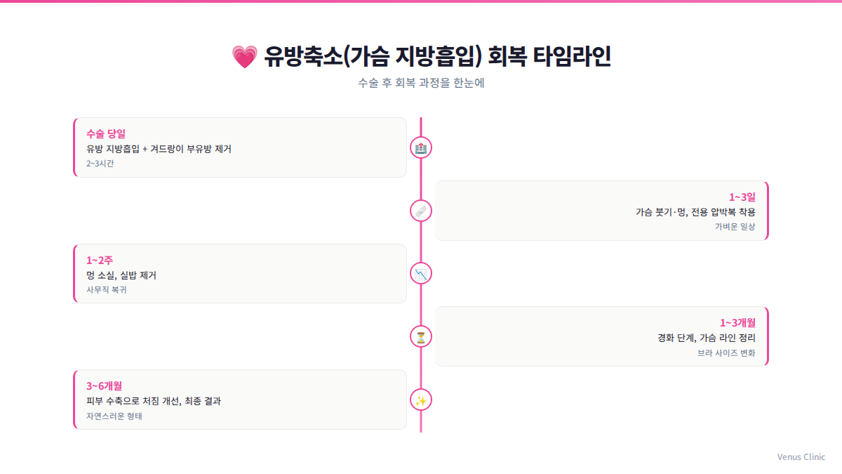 가슴축소 지방흡입 회복 타임라인 인포그래픽