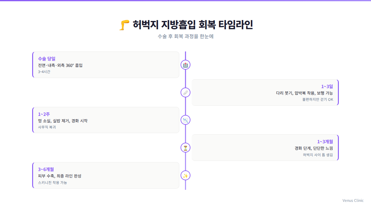 허벅지 지방흡입 회복 타임라인 인포그래픽 수술당일부터 6개월까지