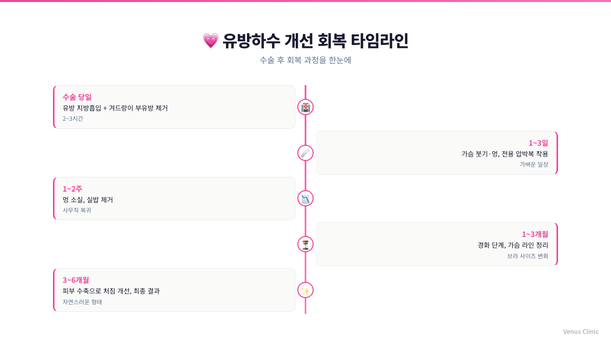 유방하수 표층지방흡입 회복 타임라인 인포그래픽