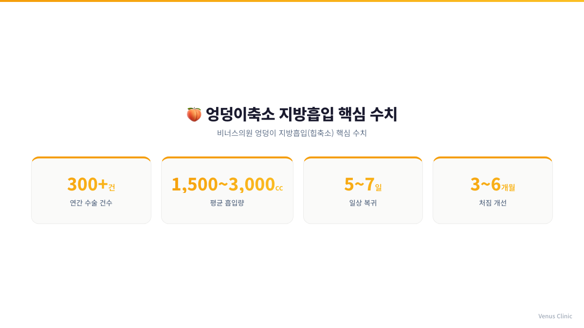 엉덩이축소 지방흡입 핵심 수치 인포그래픽 연간 수술건수 평균 흡입량 일상복귀 기간