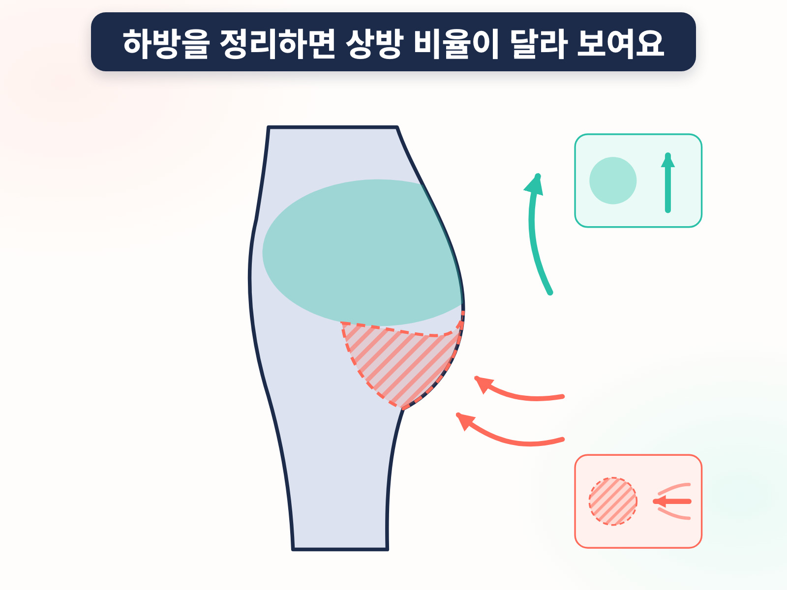 엉덩이 하방 정리와 상방 비율 원리 인포그래픽